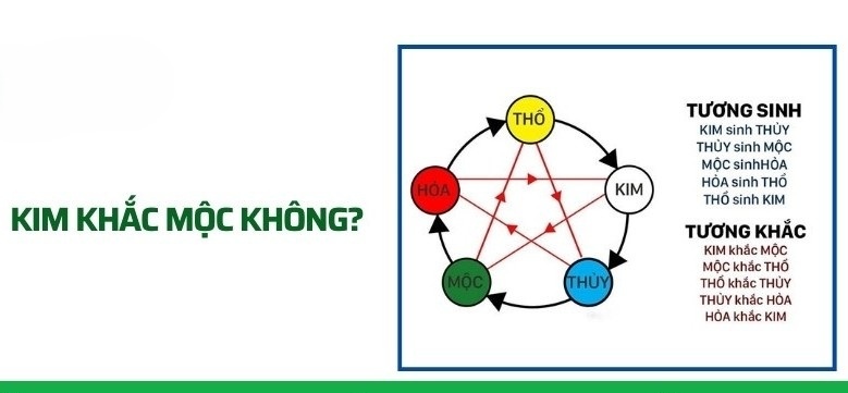 Kim Khắc Mộc Là Gì? Nguyên Lý Ngũ Hành Và Cách Hóa Giải Hiệu Quả